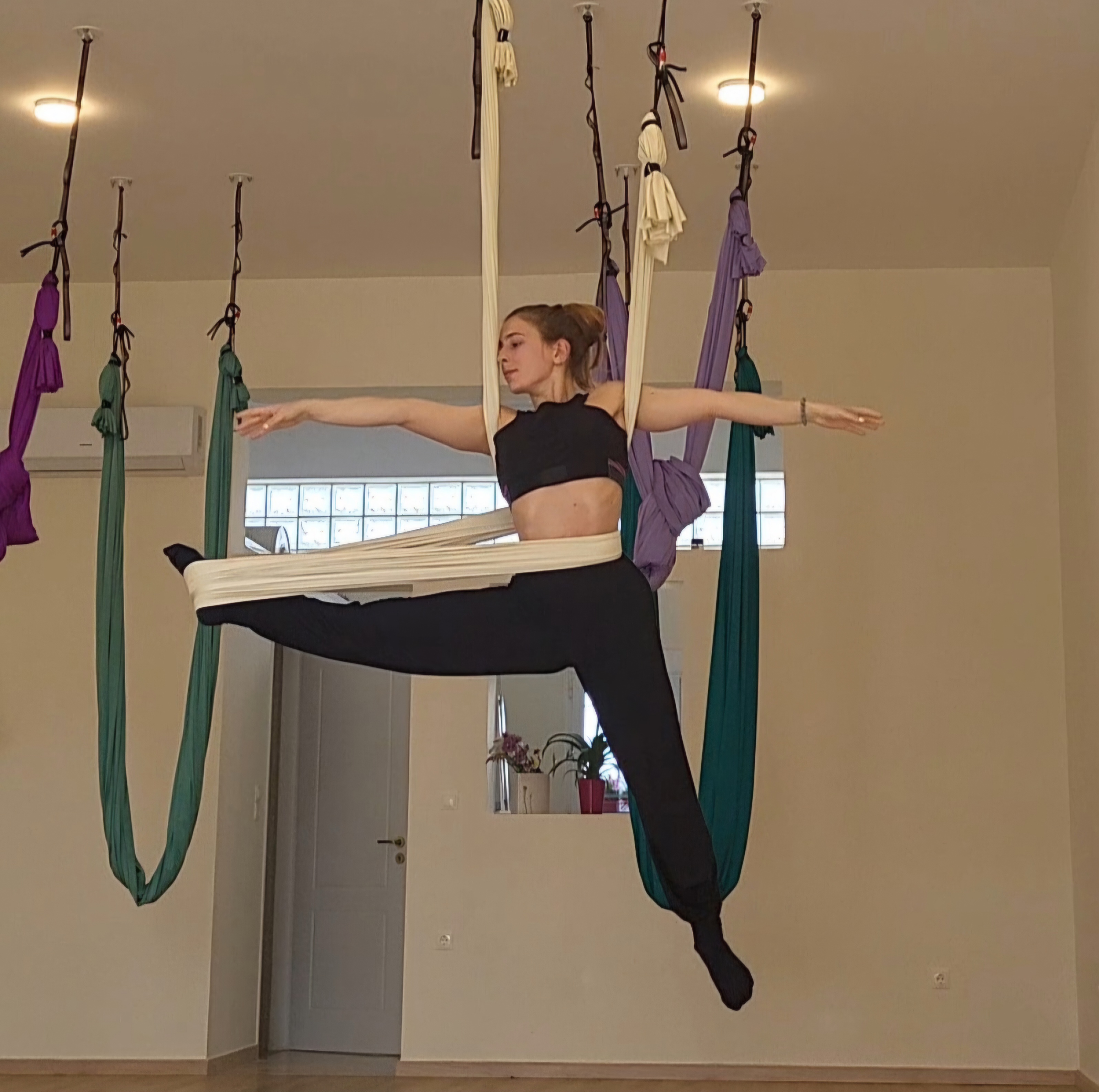 Aerial Yoga - View 1