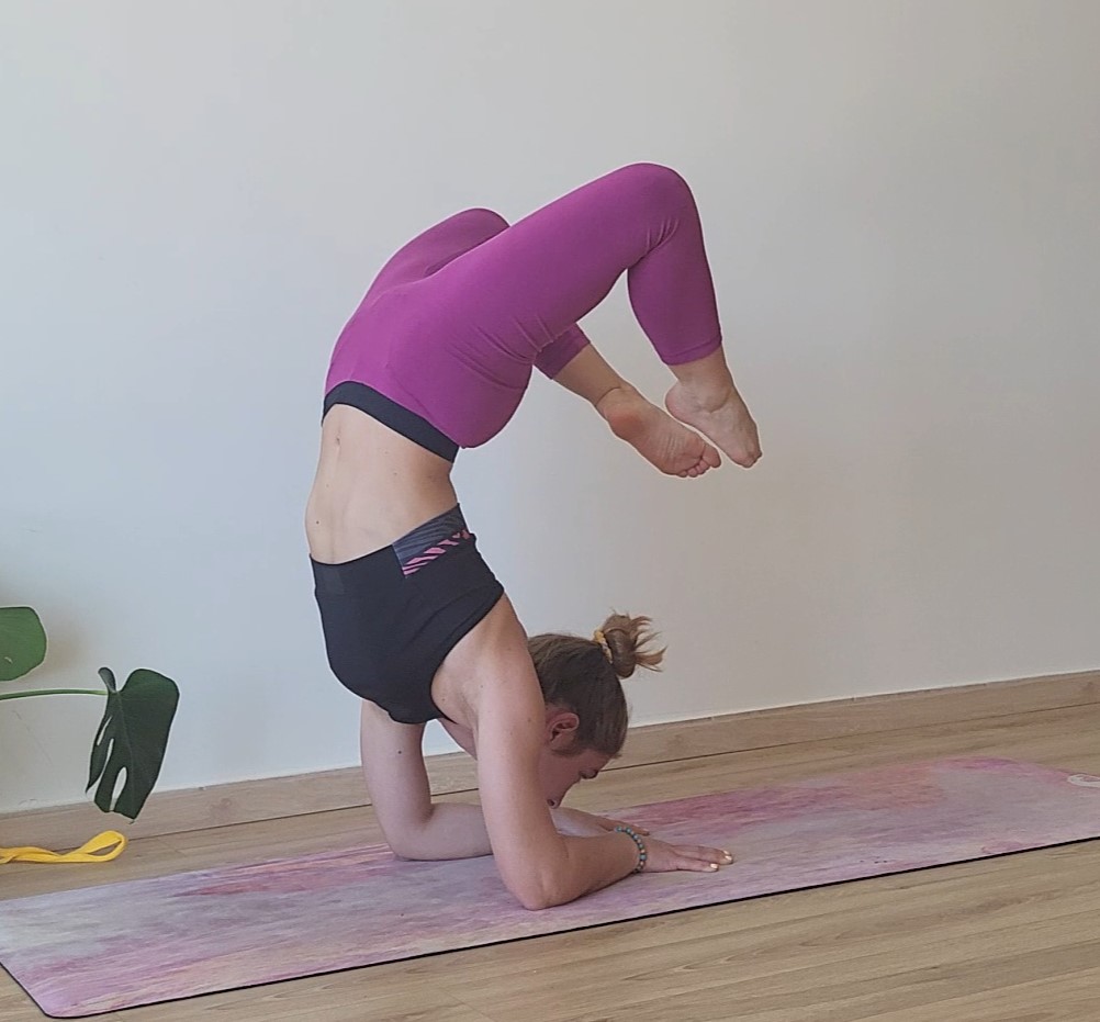 Flexi-Vinyasa - View 1