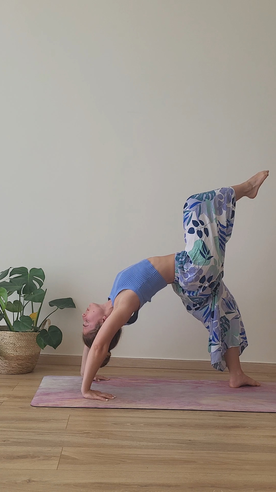 Flexi-Vinyasa - View 2